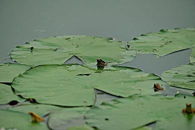 《黎明行者之血》主角并非是那种无所不能的角色